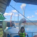 꿈자람랜드 | 25.10. 춘천 프라임 캠핑장 그린존10(레고랜드 근처 캠핑장)