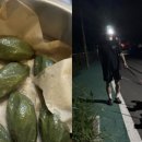평창댁