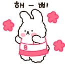 사루각20
