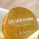 다룸뷰티