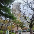 송강마을공인중개사사무소 | 송강동송강마을아파트, 대박공인중개사와의 성공적인 거래 비결!
