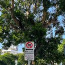 영성공원 이미지