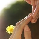 수원-0754 이미지