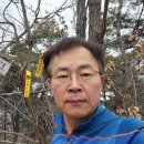 용내길 이미지