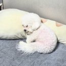 오송우리주유소 | 나의 팔구월 // 8-9월 일상