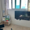 소풍애견미용 이미지