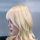 보그헤어 홍대거리점 이미지