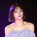 앨범미디어