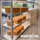 화이트리에산동점