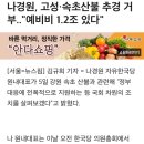 나경원, 고성·속초산불 추경 거부.."예비비 1.2조 있다" 이미지