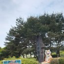 토끼사 | 청주동물원 방문 후기