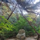 11215-구의2-647 | 경주남산 금오봉 최단 등산코스 신라의 역사를 따라 걷다(블랙야크 100대 명산)