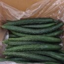 순애농장 이미지