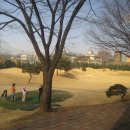 지인골프크럽 이미지