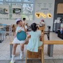 카페베네포항경주 - 포항시 남구 일월로 18 | 카페베네포항경주