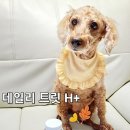 피피에이치 네이버블로그