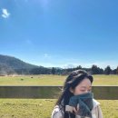 재훈목장 이미지