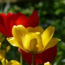 데일리 케어 이미지