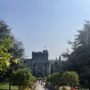 칵투스 아일랜드 이미지