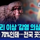 [국내이슈] 원숭이B바이러스 부릉부릉 시동건다~~~ 이미지