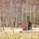 곽재우장군문화공원 이미지