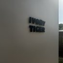 아이보리 타이거 이미지