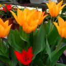 승훈목장 이미지