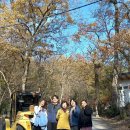 하동군청 뒷편 | 하동 쌍계사 진감선사비 복원을 위한 해체작업(23.11.22)