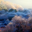 비밀의 정원 이미지