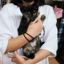 도솔쉼터 이미지