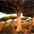 WONDER LAND 이미지