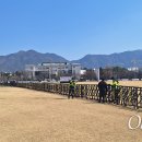 창원광장 앞 중앙대로 이미지