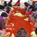 (12/13) 배추김치 담그기 이미지