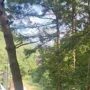 제천산악체험장 이미지