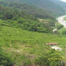 영희농장 이미지