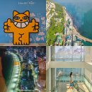 해운대고속관광(협) | 부산 실내 가볼만한곳 엑스더스카이 주차 부산 해운대 관광 명소 데이트