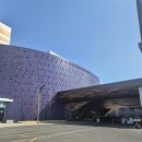 짐포레스트 | 인스파이어 리조트 체크인 꿀팁｜디럭스킹룸 룸컨디션 | 짐보관·포레스트 라운지 후기