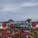 안면도 가볼만한 곳 2026 태안국제원예치유박람회 내돈내산 솔직후기