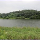 교학초등학교 이미지