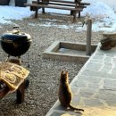 필우재뜰안 | •양평 촌캉스• 경기도 촌캉스 양평펜션 필우재 뜰안 커플 여행