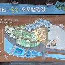 비슬산 숲속 오토캠핑장 이미지