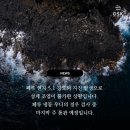 오에스케이 이미지