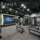 바디플레이스 이미지