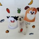 라이크몽 이미지