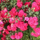 마치산공원 이미지