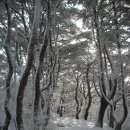 학운초등학교 이미지