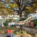 철마어린이집 | 부산 아이랑 부산광역시교육청유아교육진흥원 토요가족체험 후기