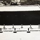 휴대폰으로 찍는 예술 사진 이미지