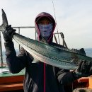 테크호