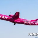 하이펫츠 이미지